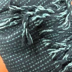 Sjal groen blauw, rapporterat av VITAZ campus Sint-Niklaas med iLost