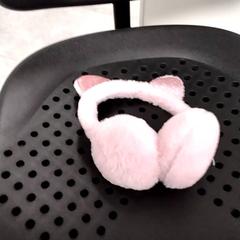 Fülvédők, amint azt Arriva Infoshop Enschede az iLost segítségével jelentette.