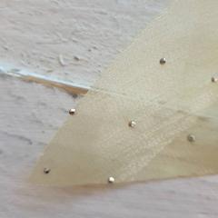 Haarklip Geel, som rapportert av DierenPark Amersfoort ved bruk av iLost