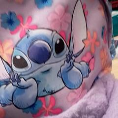 Motxilla Lila, segons ha informat Qbuzz Fryslân mitjançant iLost