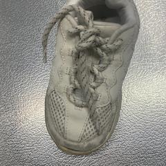 الحذاء Creme، كما تم الإبلاغ عنه بواسطة IKEA Haarlem عبر iLost