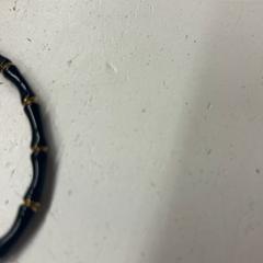 Pulseira, segundo informou Het Amsterdamse Winterparadijs usando iLost