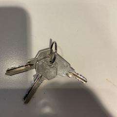 Klíč, jak nahlášeno Gemeente Amsterdam pomocí iLost