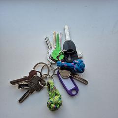 Bos sleutels, ako bolo nahlásené iLost