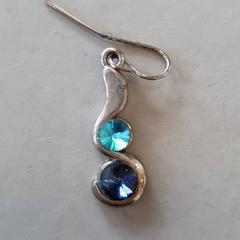 Örhänge Met 2 blauwe steentjes, rapporterat av DierenPark Amersfoort med iLost