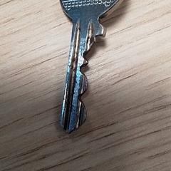 İLost kullanarak Qbuzz Fryslân tarafından bildirildiği gibi Anahtarlık