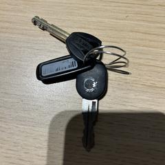 sleutels, som rapporterats till iLost