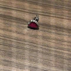 Schmuck & Ring, gemeldet von Van der Valk Hotel Zwolle über iLost