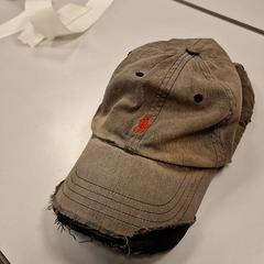 Cap, segons ha informat Vrije Universiteit Amsterdam mitjançant iLost