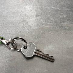 Clé, a été signalé par Arriva Friesland / Groningen utilisant iLost