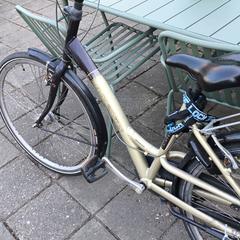 Goudkleurige fiets, iLost-i jakinarazi zaion moduan