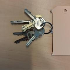 Sleutels, zoals gemeld door RET met iLost