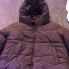 Dzseki Bruin, amint azt De Heeren van Aemstel az iLost segítségével jelentette.