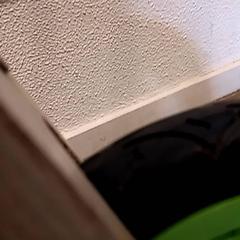 Loopfiets, as reported by De Efteling using iLost