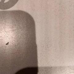 Spene, som rapportert av De Efteling ved bruk av iLost