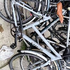 Pánsky bicykel Trek, ako bolo nahlásené Stadswerk072 pomocou iLost