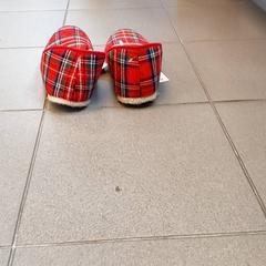 의류 - huisschoenen, iLost를 사용하여 Regio Antwerpen - Brussel에 보고됨