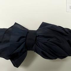 Paralu, rapporterat av Regio Antwerpen - Brussel med iLost