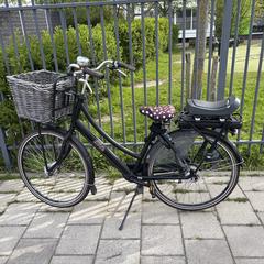 Elektrische damesfiets, jak zgłoszono do iLost