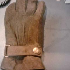 Gloves, as reported by SnowWorld Landgraaf using iLost