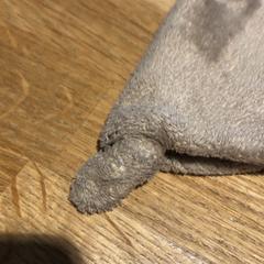 Knuffel, como reportado por Designer Outlet Roermond utilizando o iLost