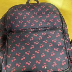 Mochila, segundo informou Pouw Vervoer usando iLost