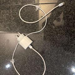 Caricabatterie per iPhone oplader, come riportato da Van der Valk Hotel Wolvega Heerenveen utilizzando iLost