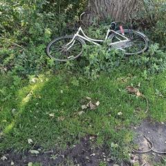 Fiets, segons s'ha informat a iLost