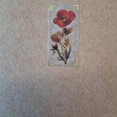 Carnet en carton, jak nahlášeno IKEA Lyon Grand Parilly pomocí iLost