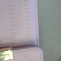 Bomba taška Zalm Roze, jak nahlášeno Walibi Holland pomocí iLost