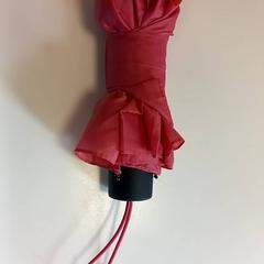 Umbrella, as reported by Arriva Limburg Zuid using iLost