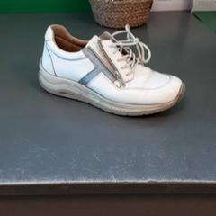 Schoen, zoals gemeld door Diergaarde Blijdorp met iLost