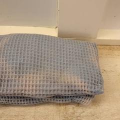 Bleiebag, som rapportert av DierenPark Amersfoort ved bruk av iLost