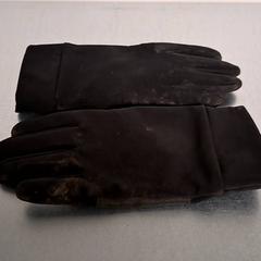 Gloves, as reported by Keolis Lund using iLost