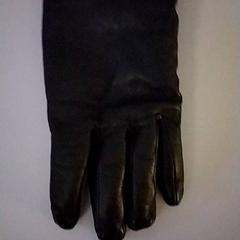 Eskularrua, gisa salatu by Vrije Universiteit Amsterdam iLost erabiliz