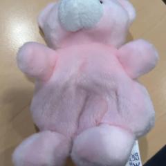 Cuddly bear Roze, as reported by Jaarbeurs using iLost