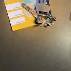 Klíče Keys, jak nahlášeno MEININGER Hotel Salzburg City Center pomocí iLost