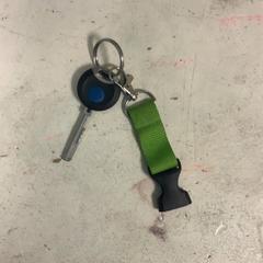 Nøkkel Met groen koord, som rapportert av Artis ved bruk av iLost