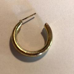 Náušnice, jak nahlášeno Attractie- & Vakantiepark Slagharen pomocí iLost