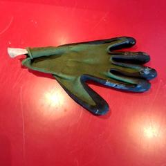 Guantes Grøn, ha sido reportado por Fjord Line – MS Stavangerfjord / Bergensfjord con iLost