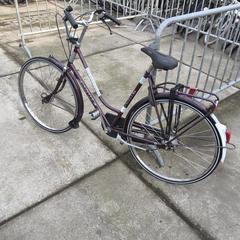 Herenfiets gazelle paars solide, segons ha informat Stadswerk072 mitjançant iLost