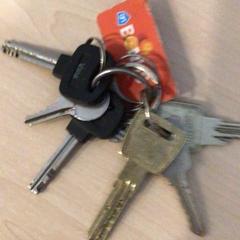 Sleutelbos, zoals gemeld door Gemeente Renkum met iLost