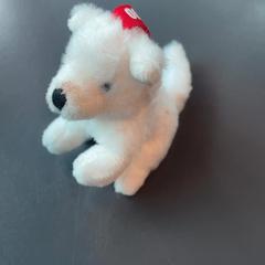 Knuffel Weerwolfje がiLostで Burgers' Zoo によって報告されました