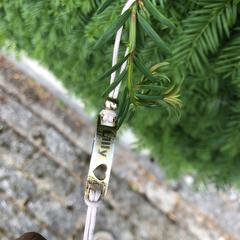 Ketting Lilly, segons s'ha informat a iLost