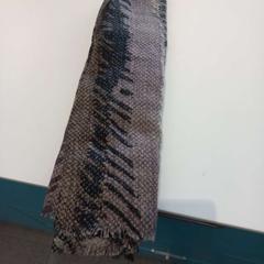 Xaile, como reportado por Arriva Limburg Zuid utilizando o iLost