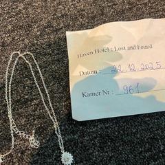 Náhrdelník diamand, jak nahlášeno Haven Hotel Rotterdam pomocí iLost