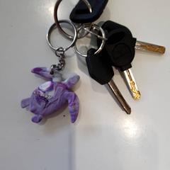 Keys, as reported by Zwarte Cross (Gemeentehuis) using iLost