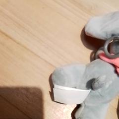 ぬいぐるみ Olifant がiLostで Beekse Bergen Resorts en Hotel によって報告されました