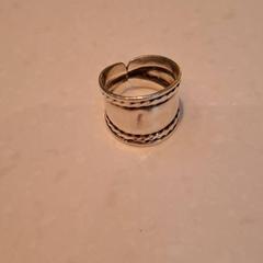 Anel, segundo informou Rijksmuseum van Oudheden usando iLost