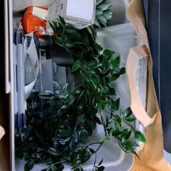 Ikea tas met spullen, jak bylo nahlášeno na iLost